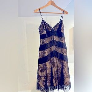 BCBG Lace Slip Dress with Nude Underlay